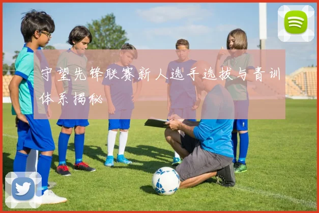 守望先锋联赛新人选手选拔与青训体系揭秘