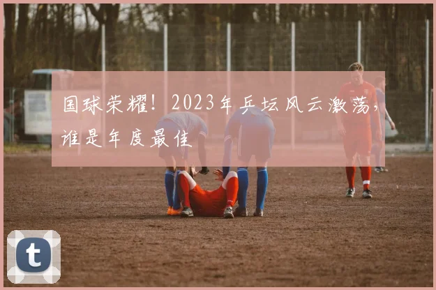 国球荣耀！2023年乒坛风云激荡，谁是年度最佳