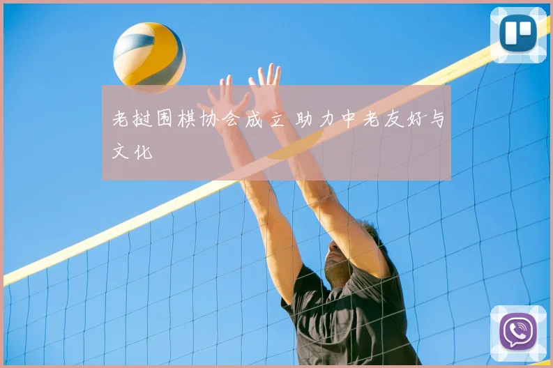 老挝围棋协会成立 助力中老友好与文化