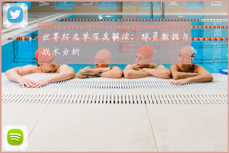 世界杯名单深度解读:球员数据与战术分析