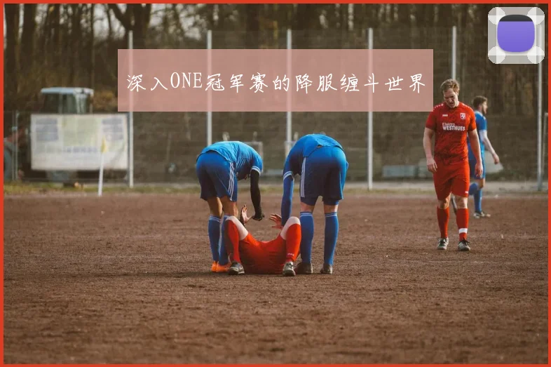 深入ONE冠军赛的降服缠斗世界