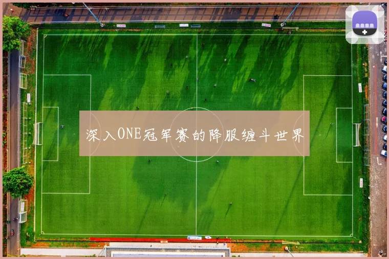深入ONE冠军赛的降服缠斗世界