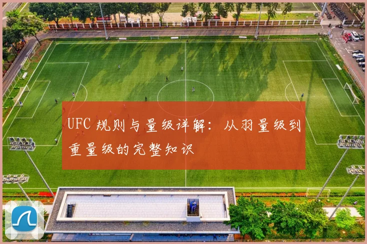 UFC 规则与量级详解:从羽量级到重量级的完整知识