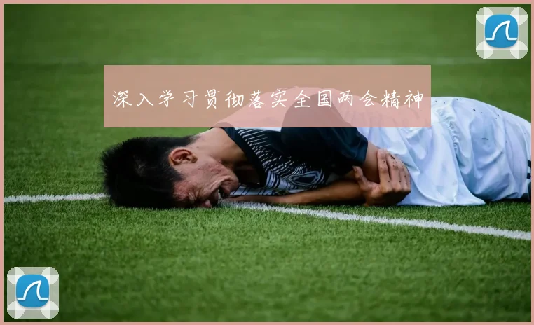 深入学习贯彻落实全国两会精神